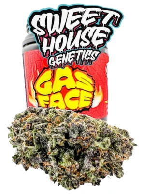 SWEET HOUSE GENETICS PREMIUM GAS FACE THC-A FLOWER - 3.5G