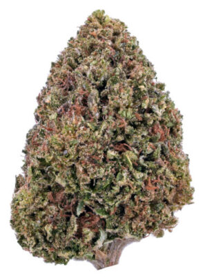 Bubba Kush CBD Hemp Flower