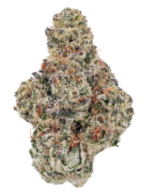 Sour Cherry