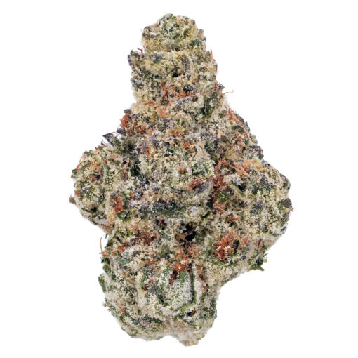 Sour-Cherry-510x510 (1) Sour Cherry